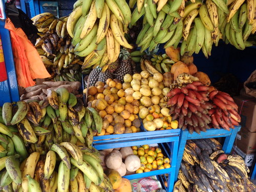 Maldonado, Peru.